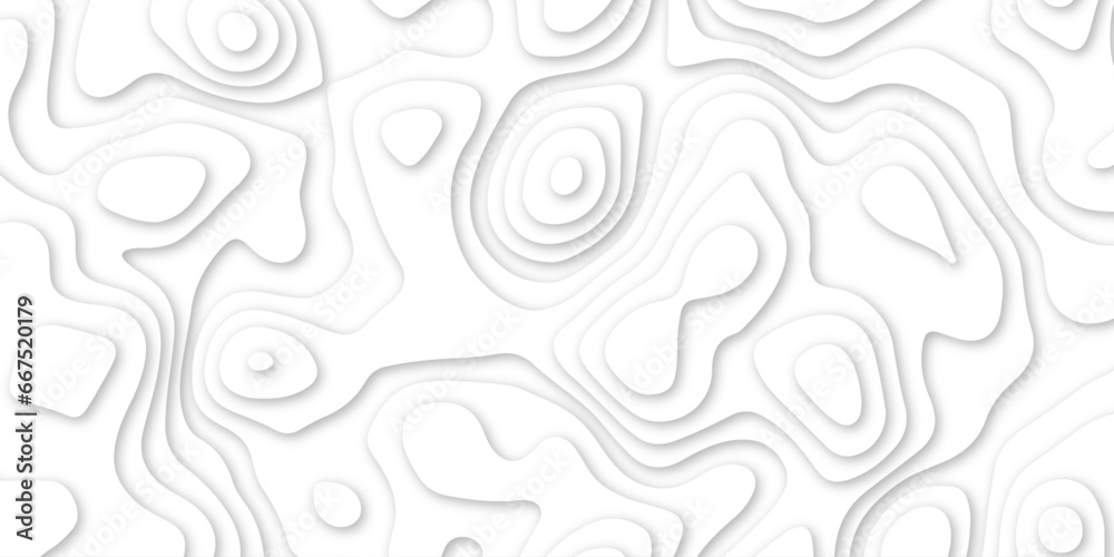 Abstract White background topology, topography illustration vector design .Abstract realistic papercut decoration textured with wavy layers and other pattern designs .