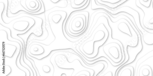 Abstract White background topology, topography illustration vector design .Abstract realistic papercut decoration textured with wavy layers and other pattern designs .