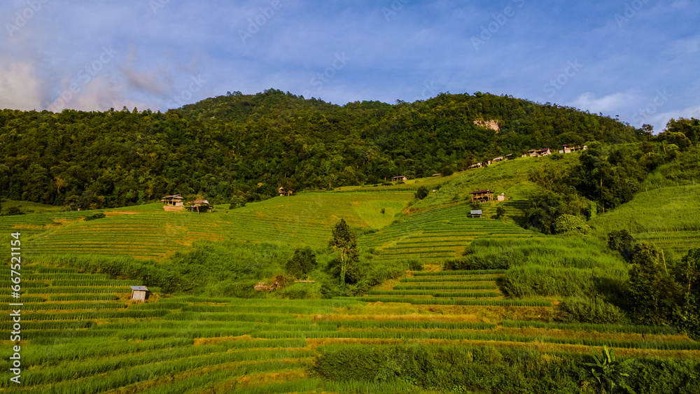 sunset in the mountains with green Terraced Rice Fields in Chiangmai, Thailand, Pa Pong Piang rice terraces, green rice paddy fields during the rain season