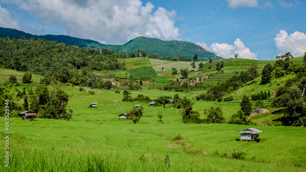 Terraced Rice Field in Chiangmai during the green rain season, Thailand. Royal Project Khun Pae Northern Thailand Valley Terraced Rice Field in Chiangmai during the green rain season, Thailand. Royal Project Khun Pae Northern Thailand Valley