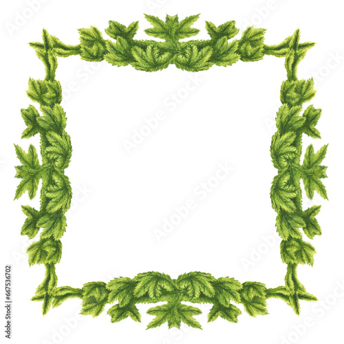 Watercolor Christmas wreath  frame  fir branch and background.