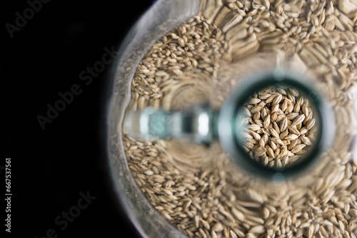 Картината върху платно Grains of barley in a demijohn seen through the neck of the bottle