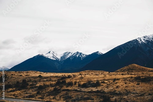 Scenic view of a road lined with trees in New Zealand, with snow-capped mountains in the background