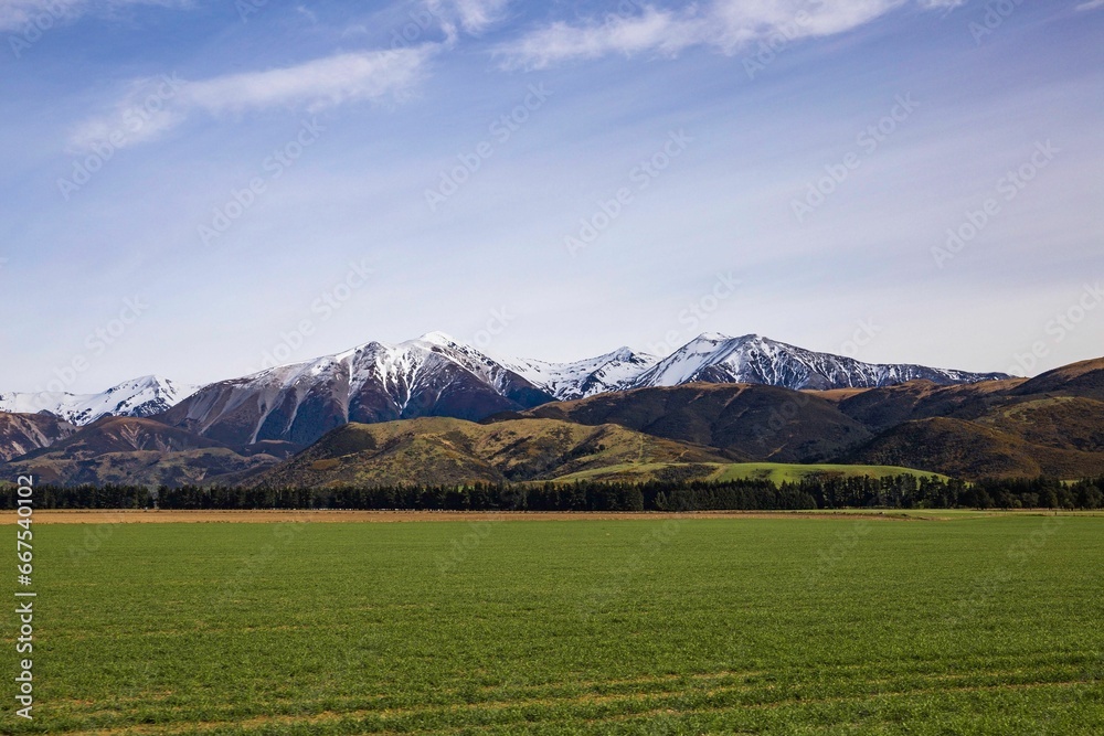 Picturesque outdoor landscape of a lush green grass field with snow-capped mountains in New Zealand