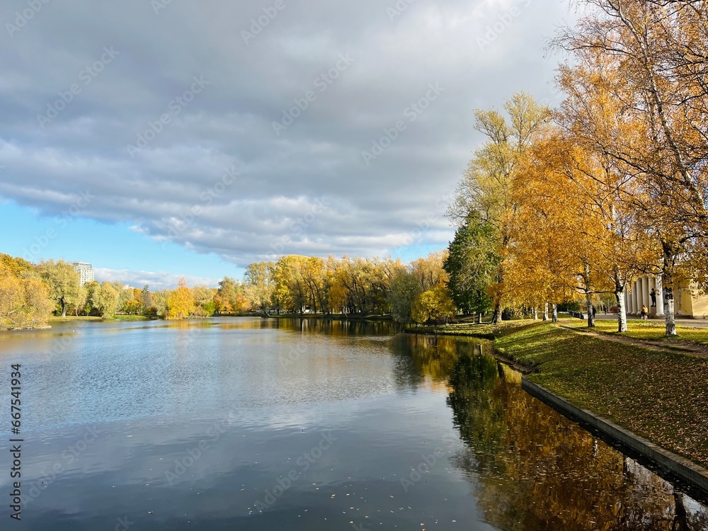 Autumn trees reflection on the pond surface in the park