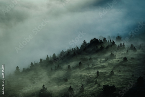 Aerial view of foggy forest during morning mist in Bosnia and Herzegovina. photo