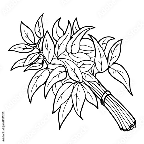 kangkung line vector illustration