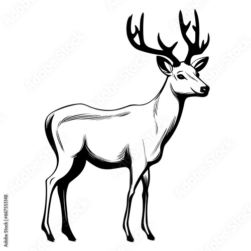 Simple Hand Drawn Illustration of Deer with Outline Style. SVG Vector