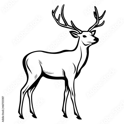 Simple Hand Drawn Illustration of Deer with Outline Style. SVG Vector