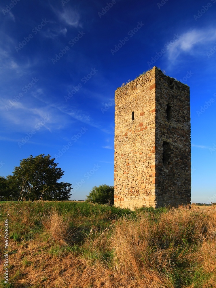 Medieval German watchtower (called Blaue Warte) near Wanzleben in evening light