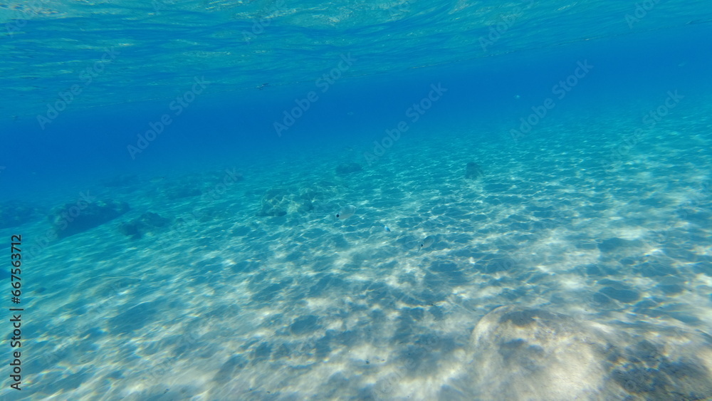 Underwater world on Crete in October 2023 Underwater world on Crete in October 2023