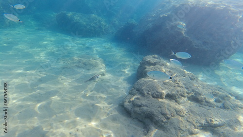 Underwater world on Crete in October 2023 © Alexander