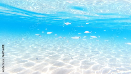 Underwater world on Crete in October 2023 photo