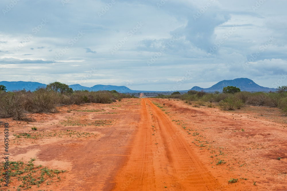A dirt road in the wild at Tsavo East National Park, Kenya