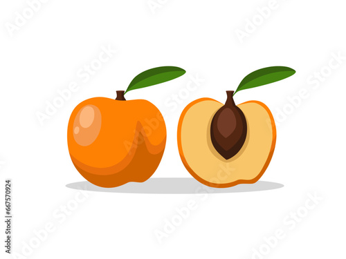 Whole and cut in half beautiful apricot or peach or nectarine with shadow on white background