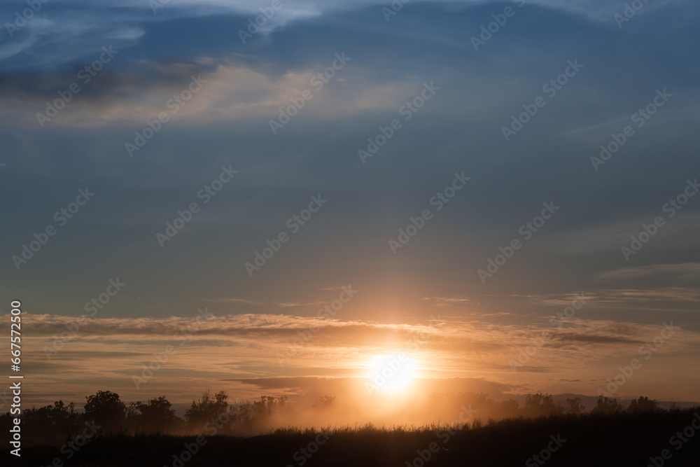 Grass and trees silhouettes on horizon against the setting sun Grass and trees silhouettes on horizon against the setting sun