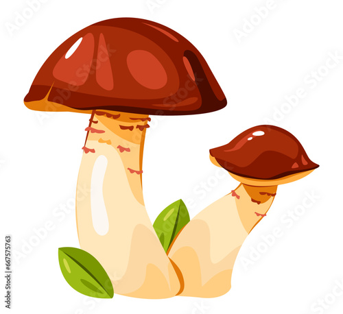 Edible mushroom. Cartoon vector illustration.