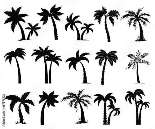 Coconut tree Silhouette