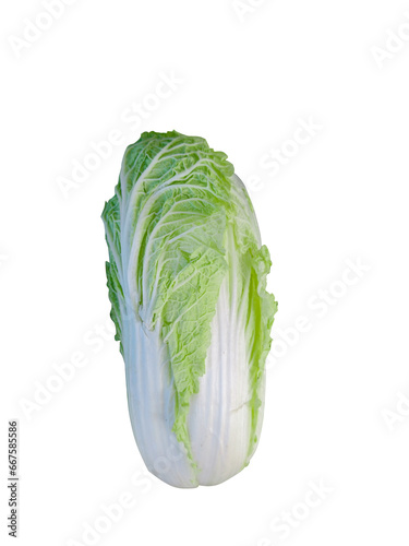 Chinese cabbage. Isolated on white background.