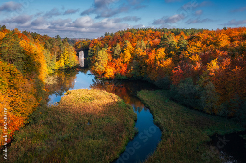 Autumnal landscape of the forest and twisted Radunia river in Kashubia. Poland