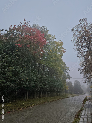 Street near the Julianowski Park in Lodz in a rainy and foggy autumn morning, Lodz, Poland. photo