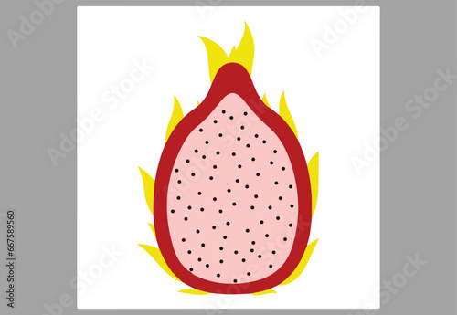 dragon fruit vector