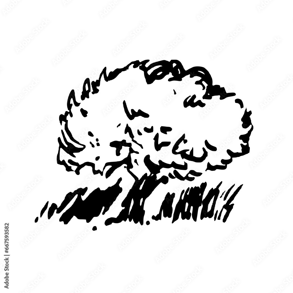 Fototapeta premium Hand drawn illustration with tree. Ink drawing, graphic art, isolated logo object.
