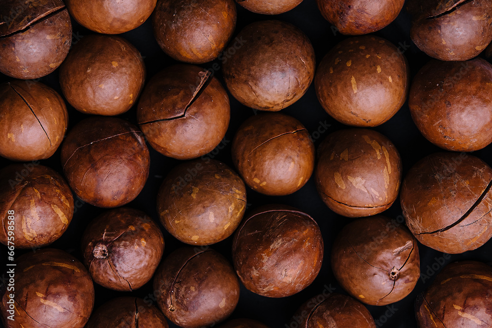 Macadamia nuts close up. Macadamia nuts background. Macadamia nuts close up. Macadamia nuts background.