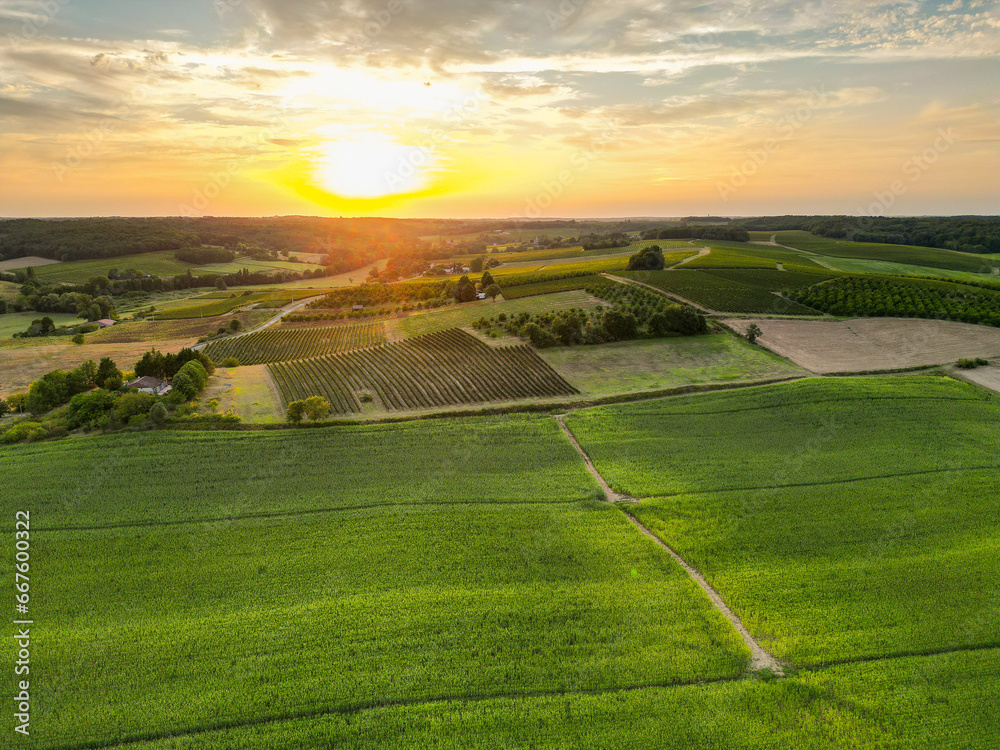 Aerial view campaign at sunrise, Entre deux mers, Gironde. High quality photo