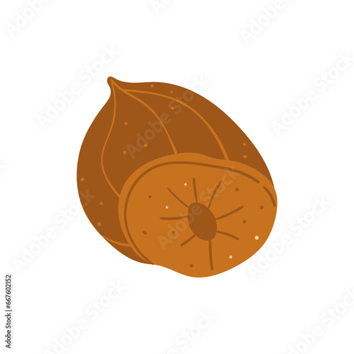 Spice ingredient food aroma herb