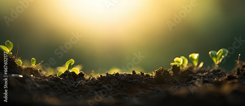 fertile soil close up against sunset background photo
