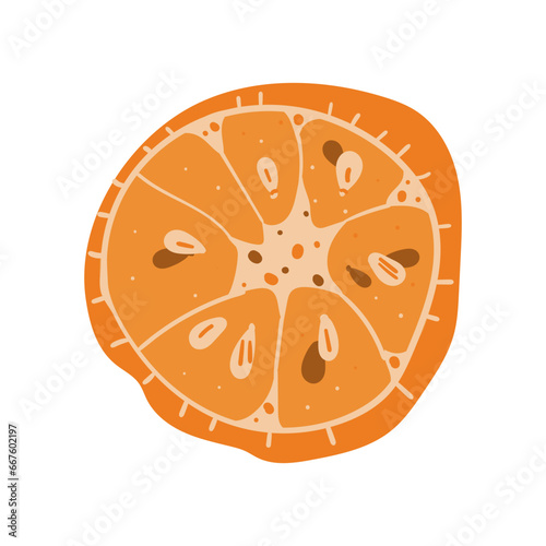 Spice ingredient food aroma herb