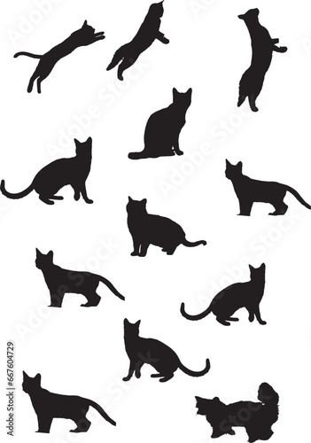Fototapeta Naklejka Na Ścianę i Meble -  Beautiful 12 Cat silhouette design. This is an beautiful cat silhouette Artwork.