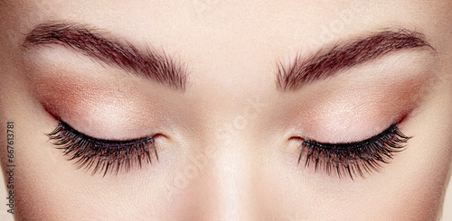 Quadro em tela Female Eye with Extreme Long False Eyelashes