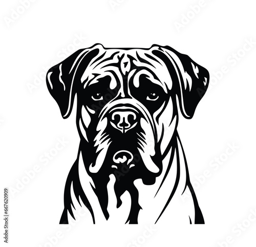 Vector isolated one single sitting Mastiff Bullmasiff Mastino napolitano dog head front view black and white bw two colors silhouette. Template for laser engraving or stencil  print for t shirt 