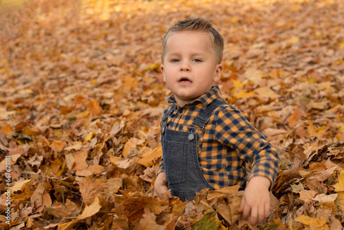 Autumn concept. A small  handsome and emotional boy in a plaid shirt and overalls sits in the autumn yellow leaves in the park. Soft focus.