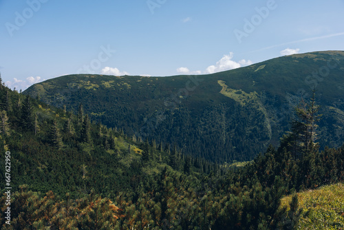 Summer day in the mountains. Mount Shpytsi, Chornohora, Carpathian Mountains