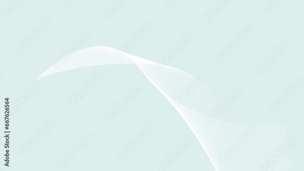 White color geometric stripe line curve wave background. abstract background with geometric lines