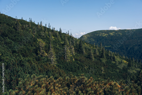 Summer day in the mountains. Mount Shpytsi, Chornohora, Carpathian Mountains photo