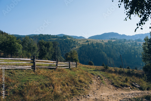 Fototapeta Naklejka Na Ścianę i Meble -  Mountain meadow in sunny day. Natural summer landscape.