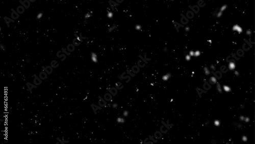 Falling snow isolated on black background. Falling snow at night. Winter weather. Overlay texture