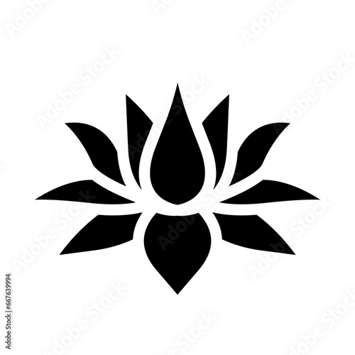 lotus dualtone 