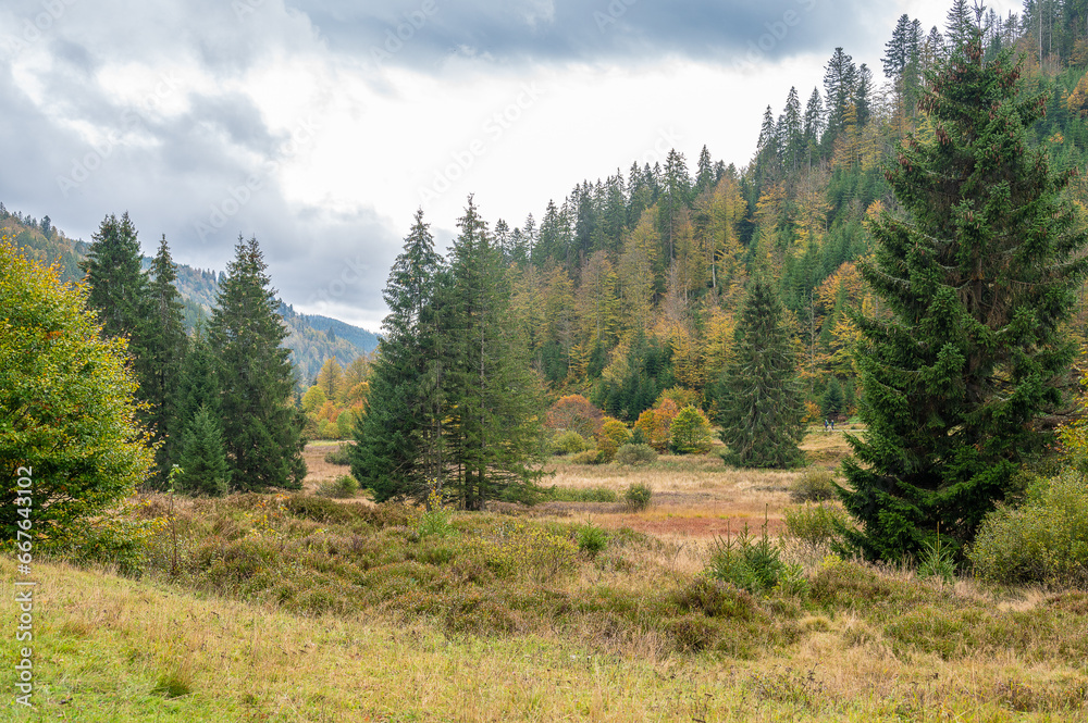 Beautiful hiking region in the Black Forest, Menzenschwand