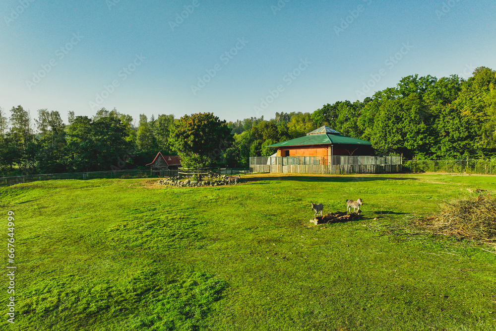 Gdansk Zoo in September in the morning. Beautiful view. Gdansk Zoo in September in the morning. Beautiful view.