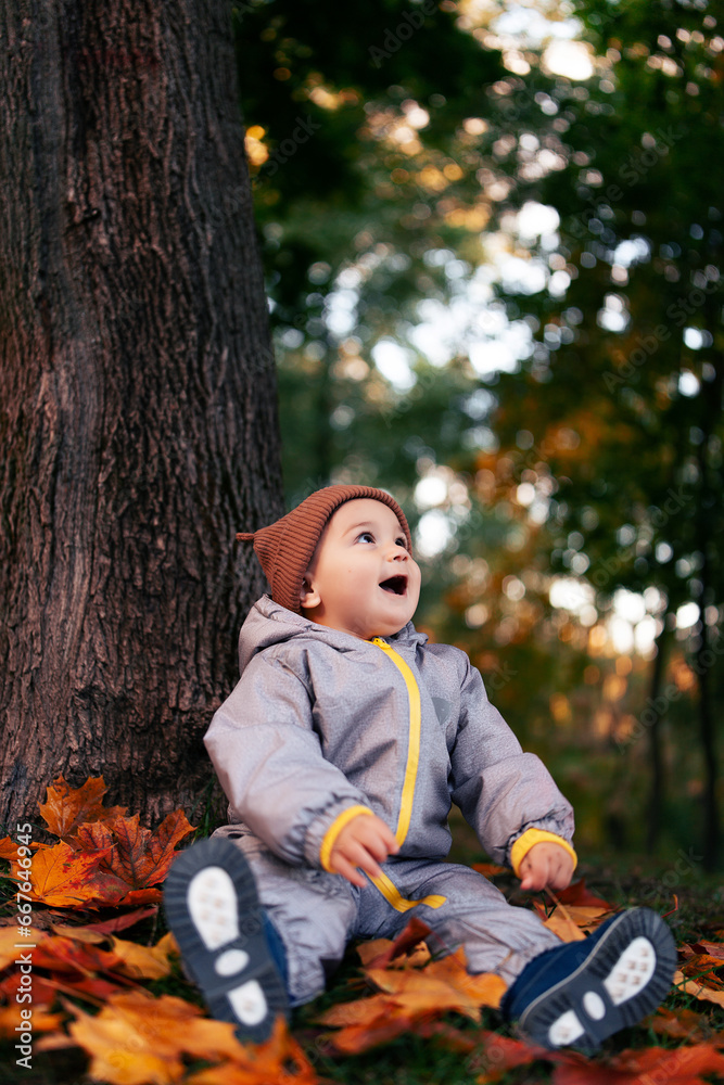 A small baby in overalls sits under a tree on yellow autumn leaves. Beautiful bright autumn season, leaves falling from trees. A small baby in overalls sits under a tree on yellow autumn leaves. Beautiful bright autumn season, leaves falling from trees.