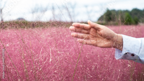 hand on the muhly grass