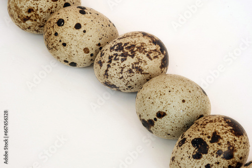 Line of quail eggs on white backdrop. Curve lined with quail eggs on a white background. Space for text.