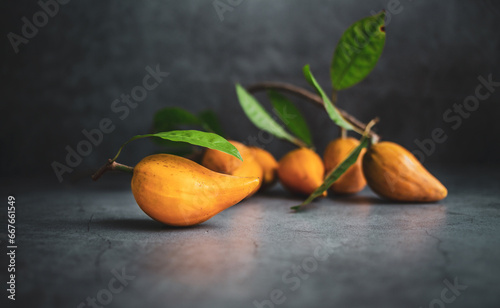 a lot of Canistel, Tiesa, yellow sapote, Pouteria Campechiana,Canistel, ripe, orange, gray background, close-up photo