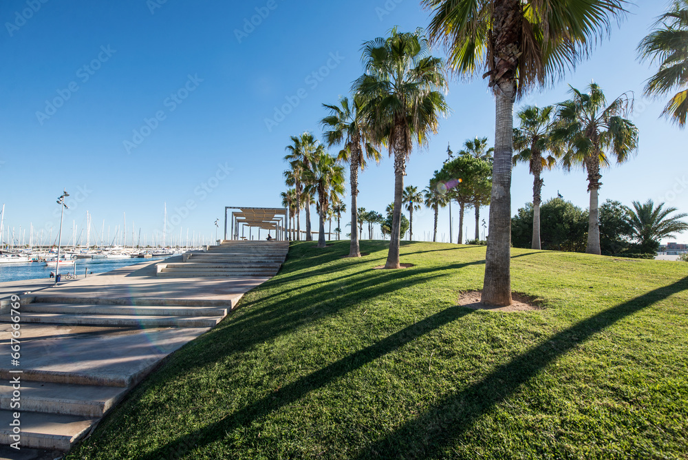 Fotografie trees in the park Valencia