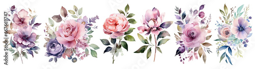 Set of Hand painted, elegant watercolor flowers Beautiful, romantic hand painted , Watercolor blush floral clipart ,Botanical plant illustration transparent background, PNG 